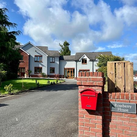 Bed and Breakfast Roseberry House Newcastle Emlyn Zewnętrze zdjęcie