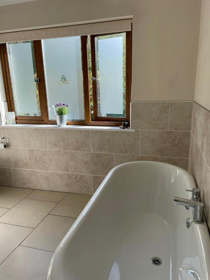 Bed and Breakfast Roseberry House Newcastle Emlyn Zewnętrze zdjęcie